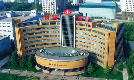 祝賀顆粒物過濾效率儀中標(biāo)石家莊以嶺藥業(yè)！